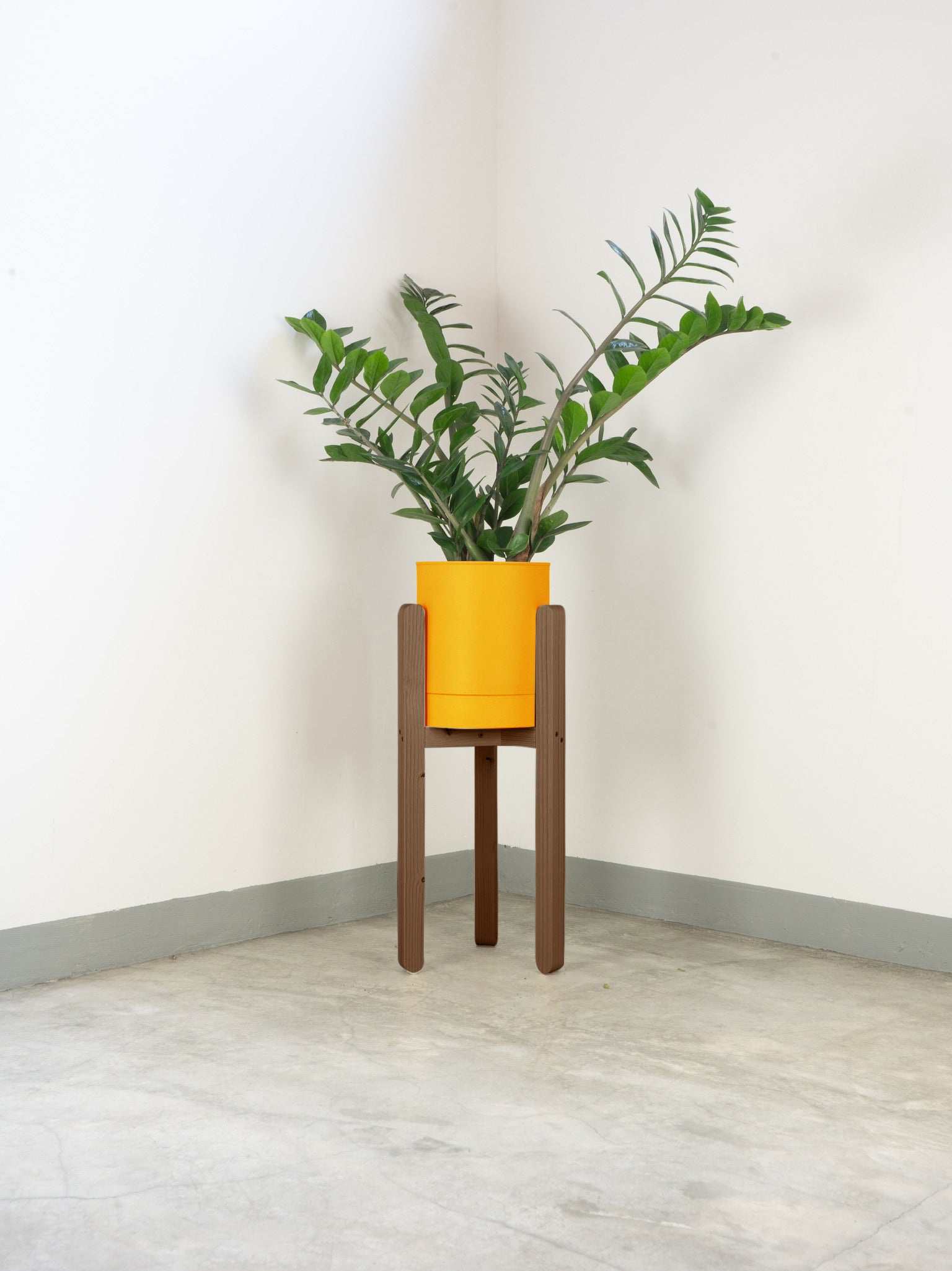 tamano=l&color=amarillo-yema&acabado-de-madera=cafe|5d2d19ce0adbb8cac342ea31e6127734