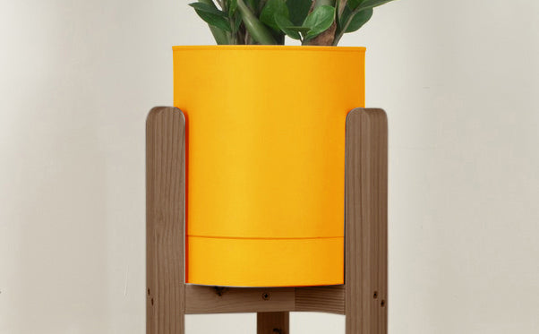 crop=color&tamano=l&color=amarillo-yema&acabado-de-madera=cafe|5d2d19ce0adbb8cac342ea31e6127734