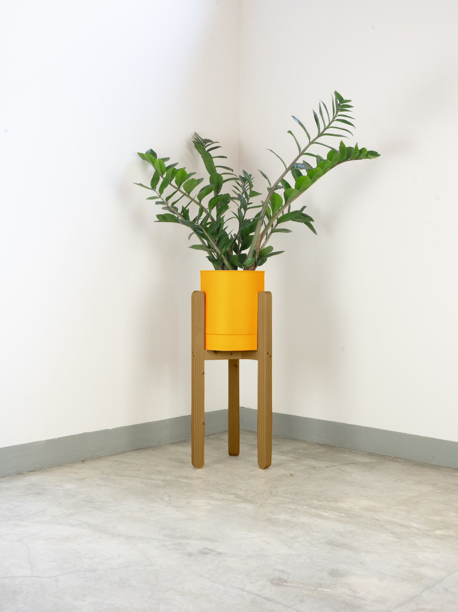 tamano=l&color=amarillo-yema&acabado-de-madera=caramelo|772c82a58ccd9c0b098fb9e1b8084e56