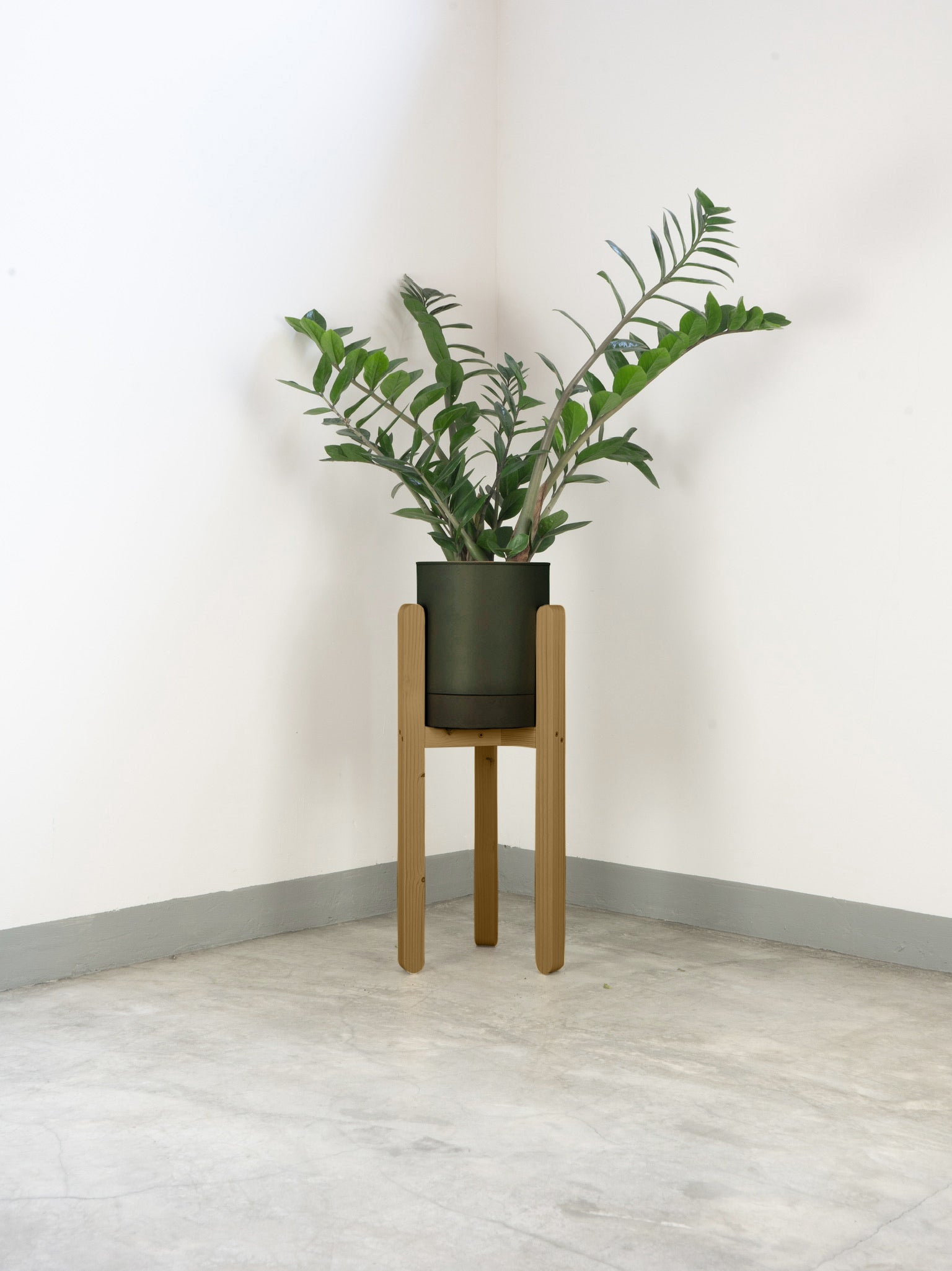 tamano=l&color=verde-borneo&acabado-de-madera=caramelo|a7f788c957499c86614fdb74b4460649