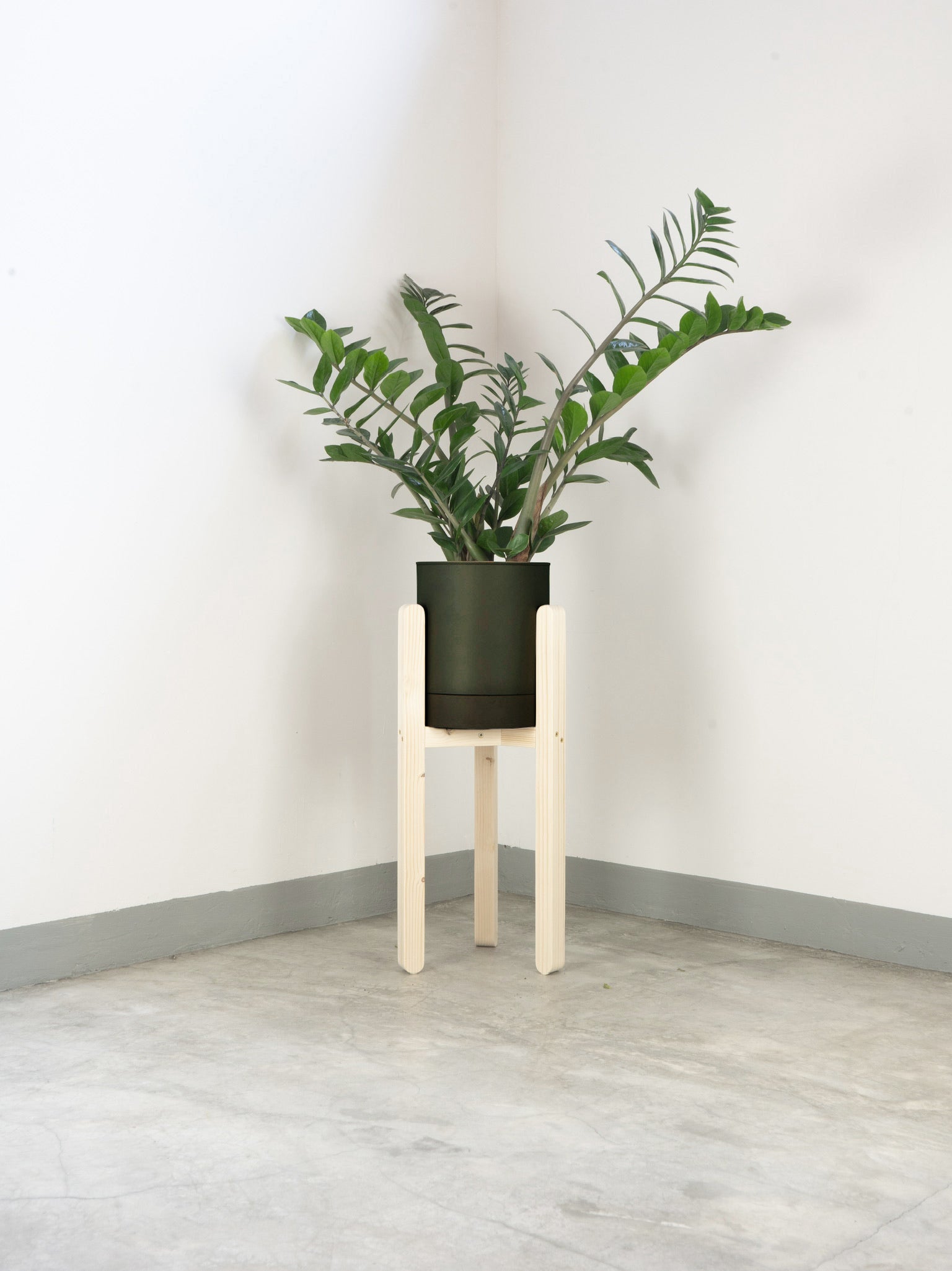 tamano=l&color=verde-borneo&acabado-de-madera=natural|545e37887dc756409e7d744d7c54bd7b