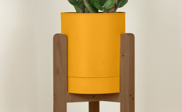 crop=color&tamano=m&color=amarillo-yema&acabado-de-madera=cafe|8ae34fc2bc2f52d6a1fc42b58bbc8f0b