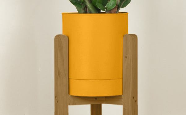 crop=color&tamano=m&color=amarillo-yema&acabado-de-madera=caramelo|1ee9bebe0ae2f7c37f55e3b87928eb57