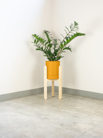 tamano=m&color=amarillo-yema&acabado-de-madera=natural|bf8d2820f29a6f53f5ea225fa1361092
