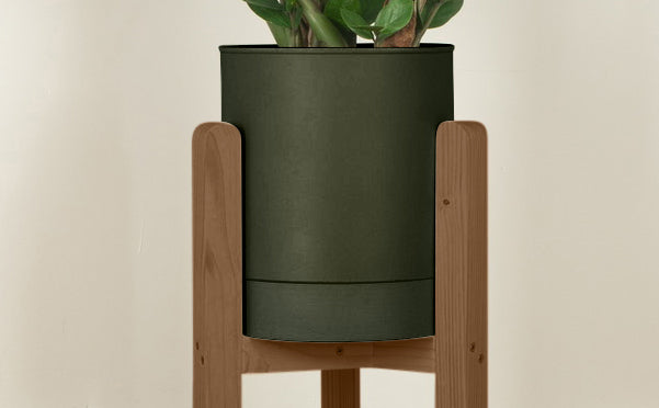 crop=color&tamano=m&color=verde-borneo&acabado-de-madera=cafe|372acf8f81b8935ef508f9f884ce1927