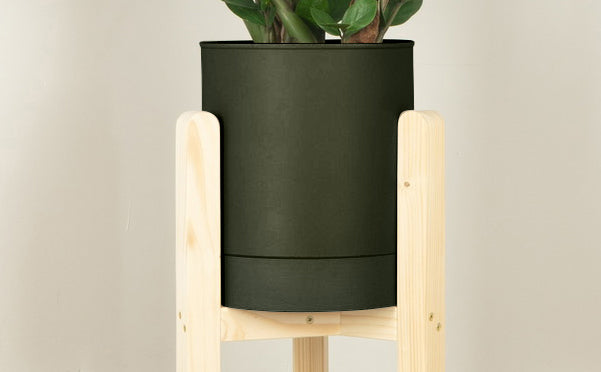 crop=color&tamano=m&color=verde-borneo&acabado-de-madera=natural|7ae1ef94fc88bf828eb302da4d5075da
