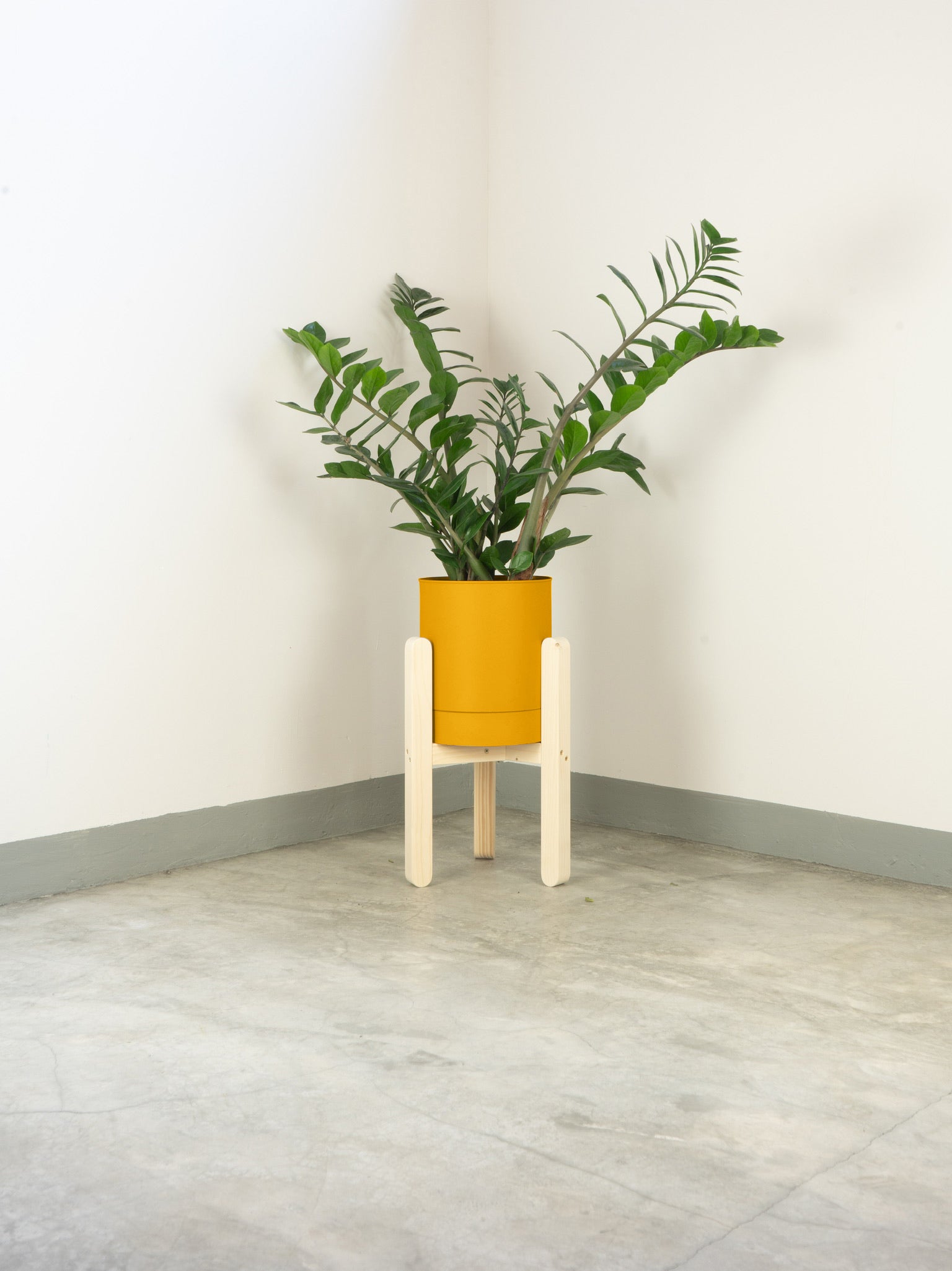 tamano=s&color=amarillo-yema&acabado-de-madera=natural|fb17928ed79fe86ca271ae8082cd7eb7