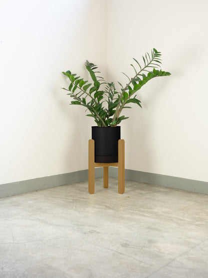 tamano=s&color=negro&acabado-de-madera=caramelo|5c0acb0e4a2e458cbfafceddea926c6b