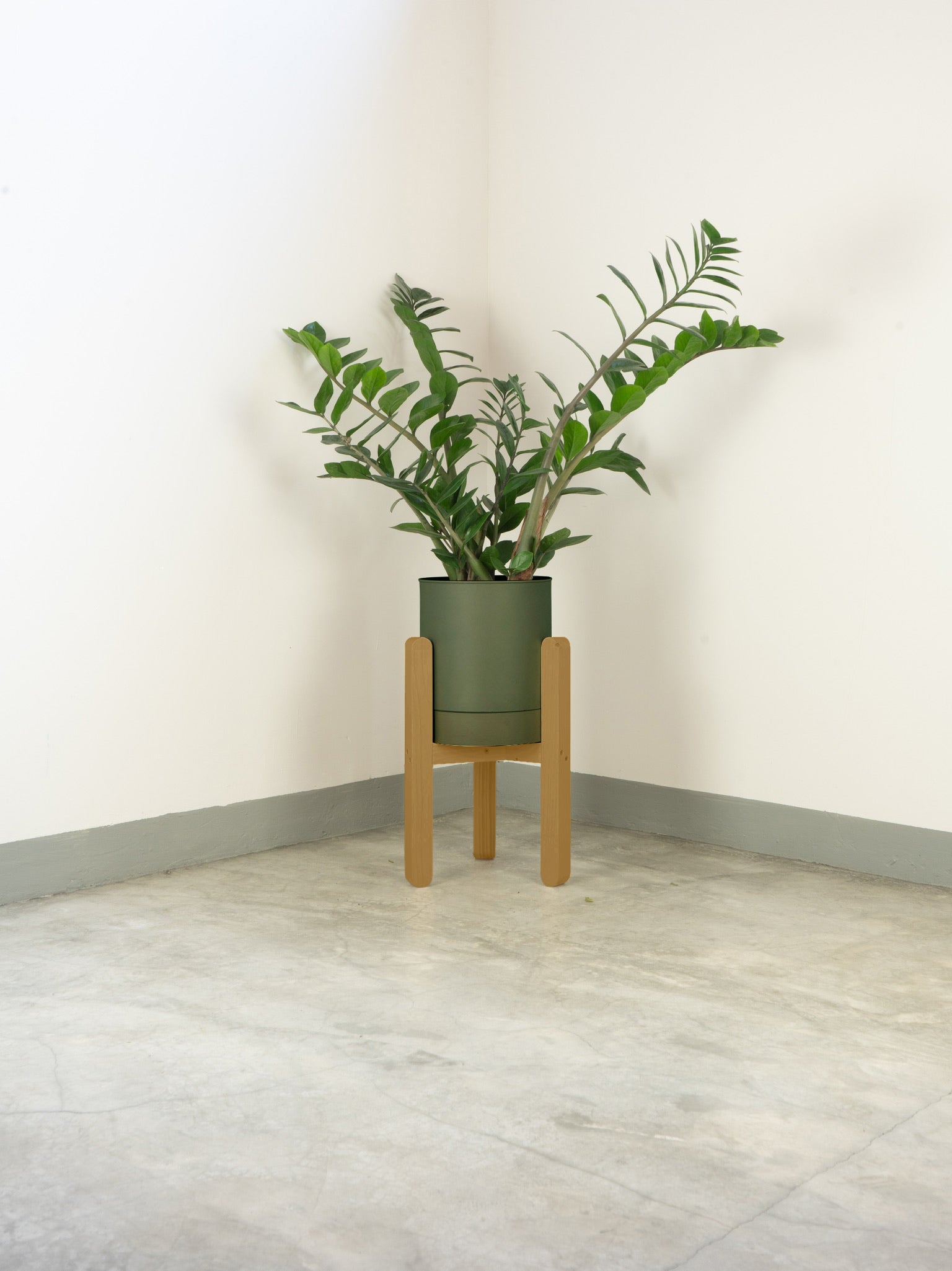 tamano=s&color=verde-comarca&acabado-de-madera=caramelo|cd6a263d514966fe4626baecfd647393