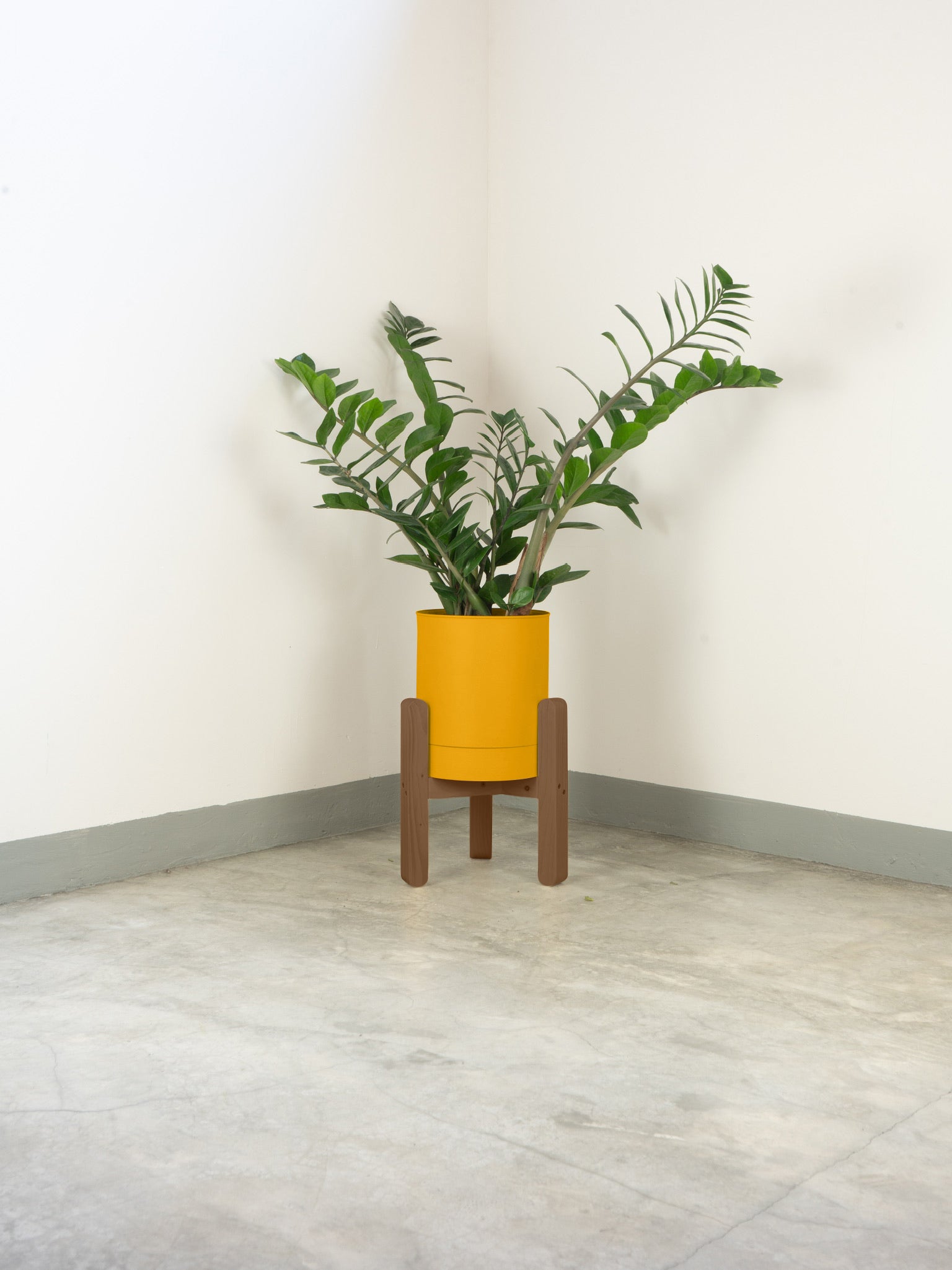 tamano=xs&color=amarillo-yema&acabado-de-madera=cafe|7b8b51cdbe0f523a39134fbf4d4a0ac4