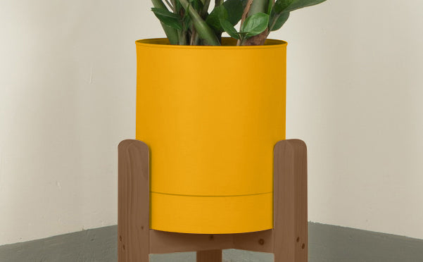 crop=color&tamano=xs&color=amarillo-yema&acabado-de-madera=cafe|7b8b51cdbe0f523a39134fbf4d4a0ac4