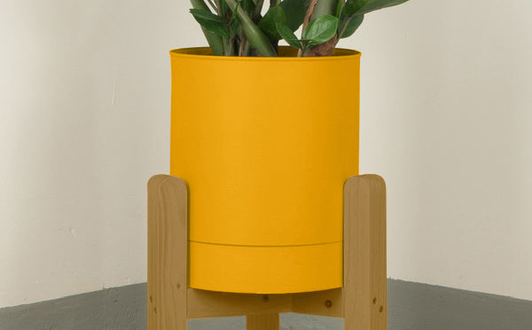 crop=color&tamano=xs&color=amarillo-yema&acabado-de-madera=caramelo|4c437157ff28402e207ab98c8e815120