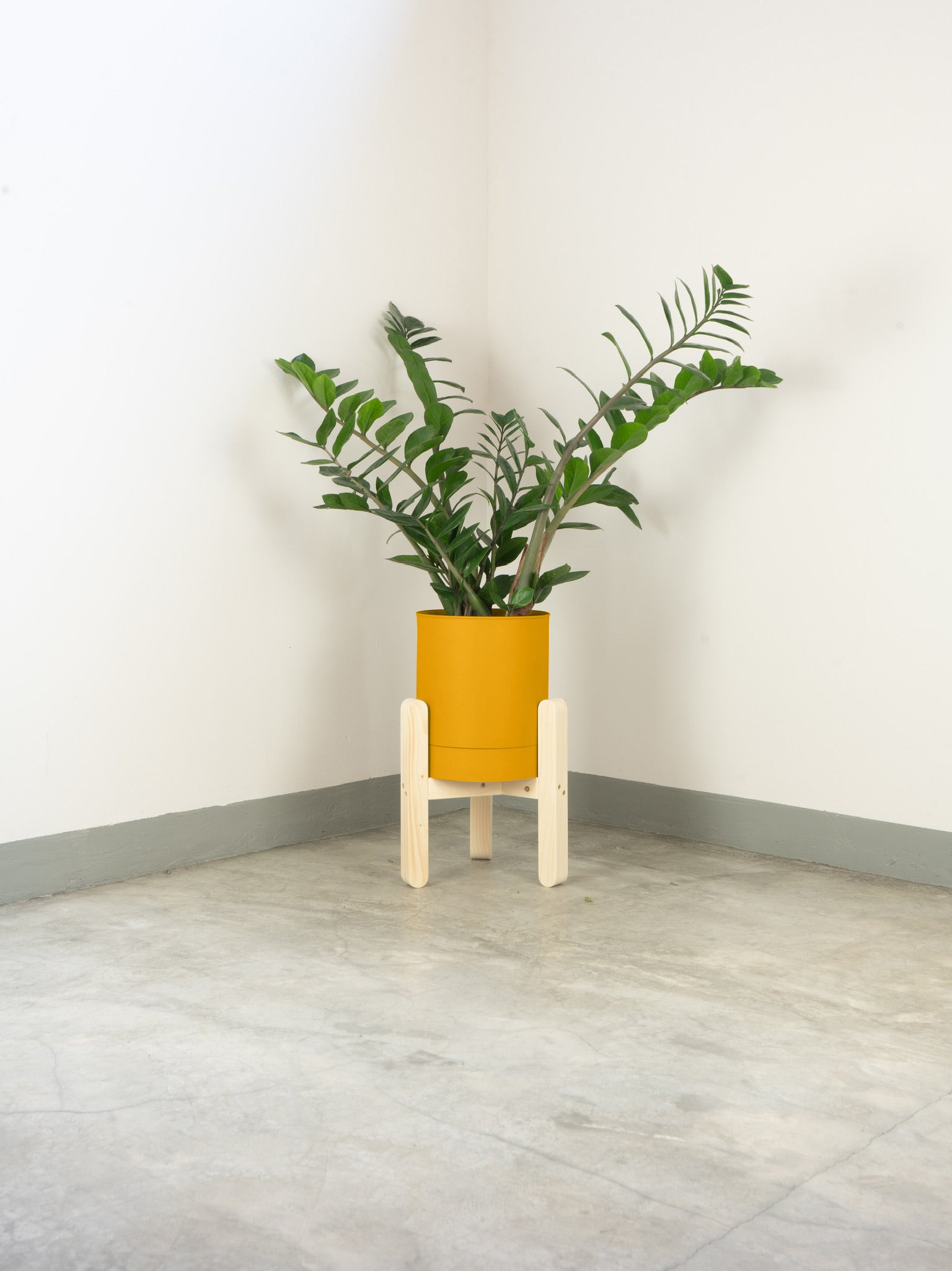 tamano=xs&color=amarillo-yema&acabado-de-madera=natural|d58a2d31006c13fbacad88045e9c48ad