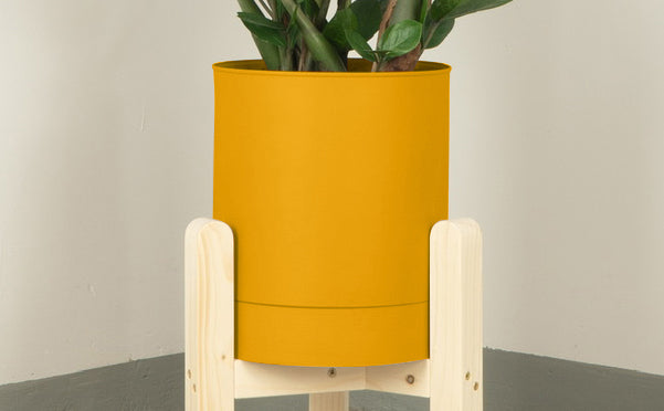 crop=color&tamano=xs&color=amarillo-yema&acabado-de-madera=natural|d58a2d31006c13fbacad88045e9c48ad