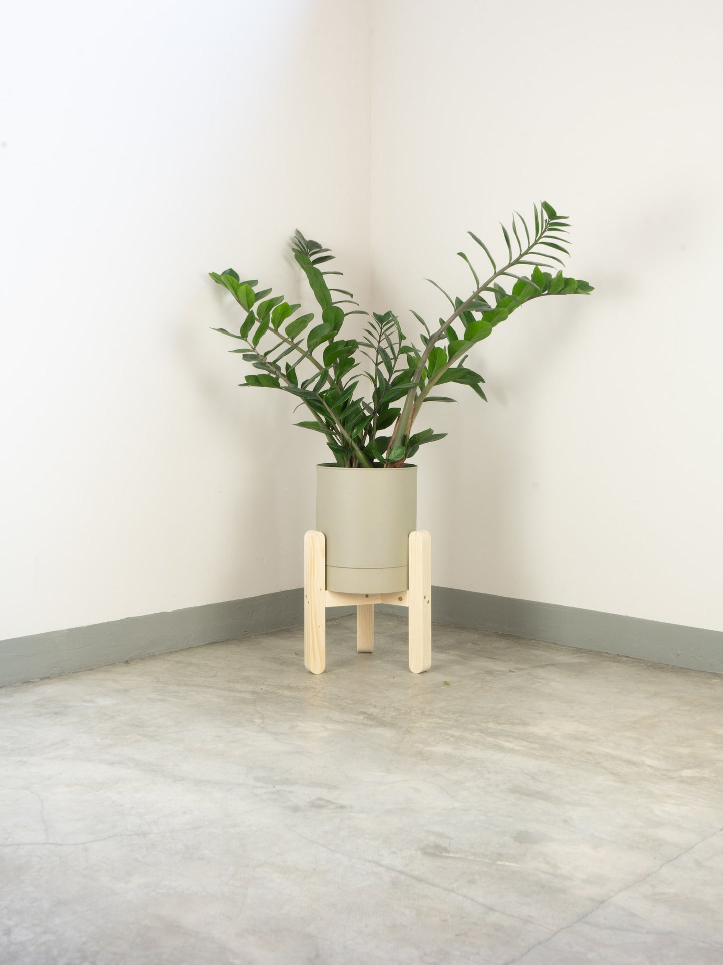 tamano=xs&color=blanco-hueso&acabado-de-madera=natural|d86be4019a597fad7c79e138c25483bc