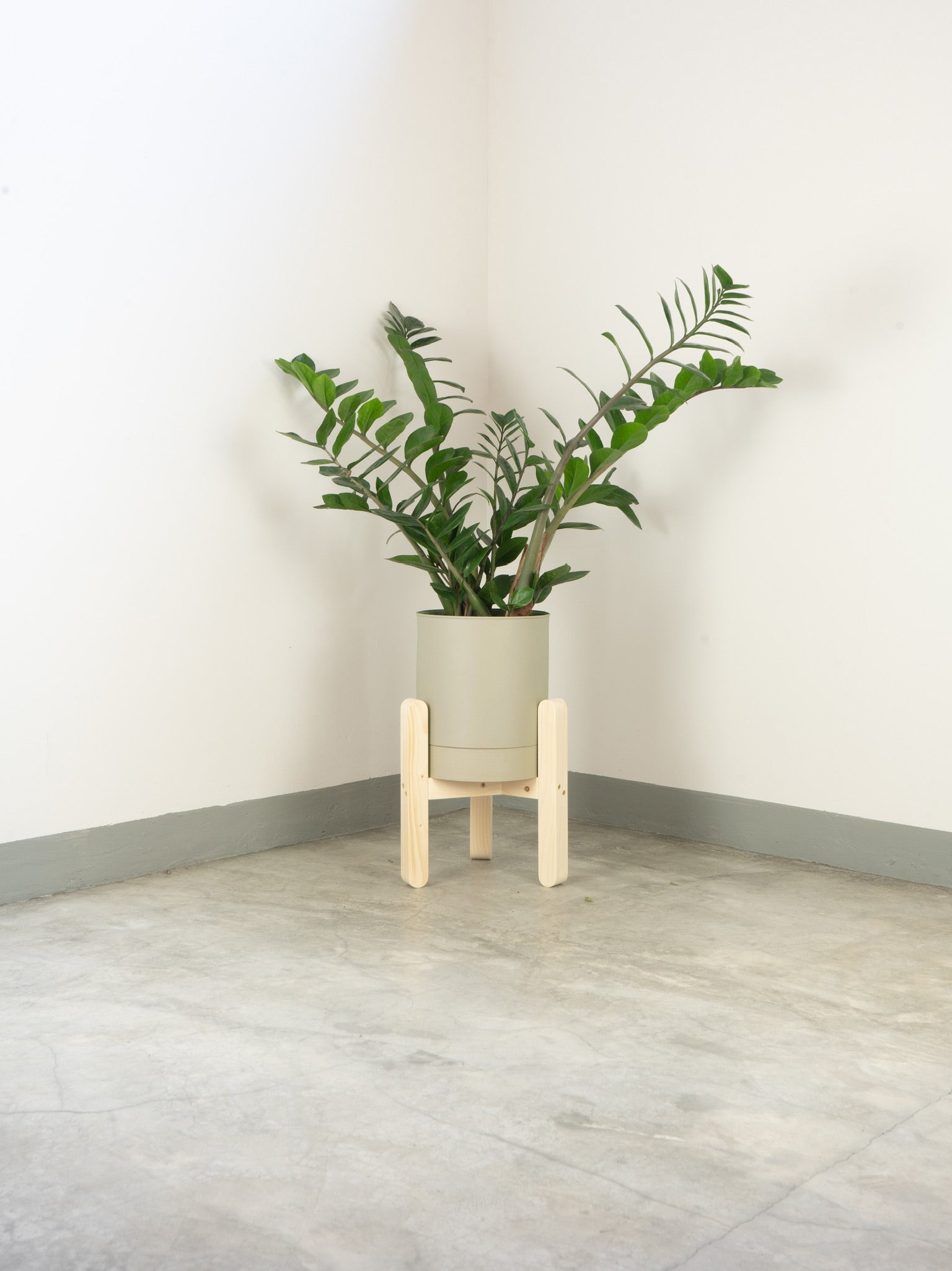 tamano=xs&color=blanco-hueso&acabado-de-madera=natural|d86be4019a597fad7c79e138c25483bc