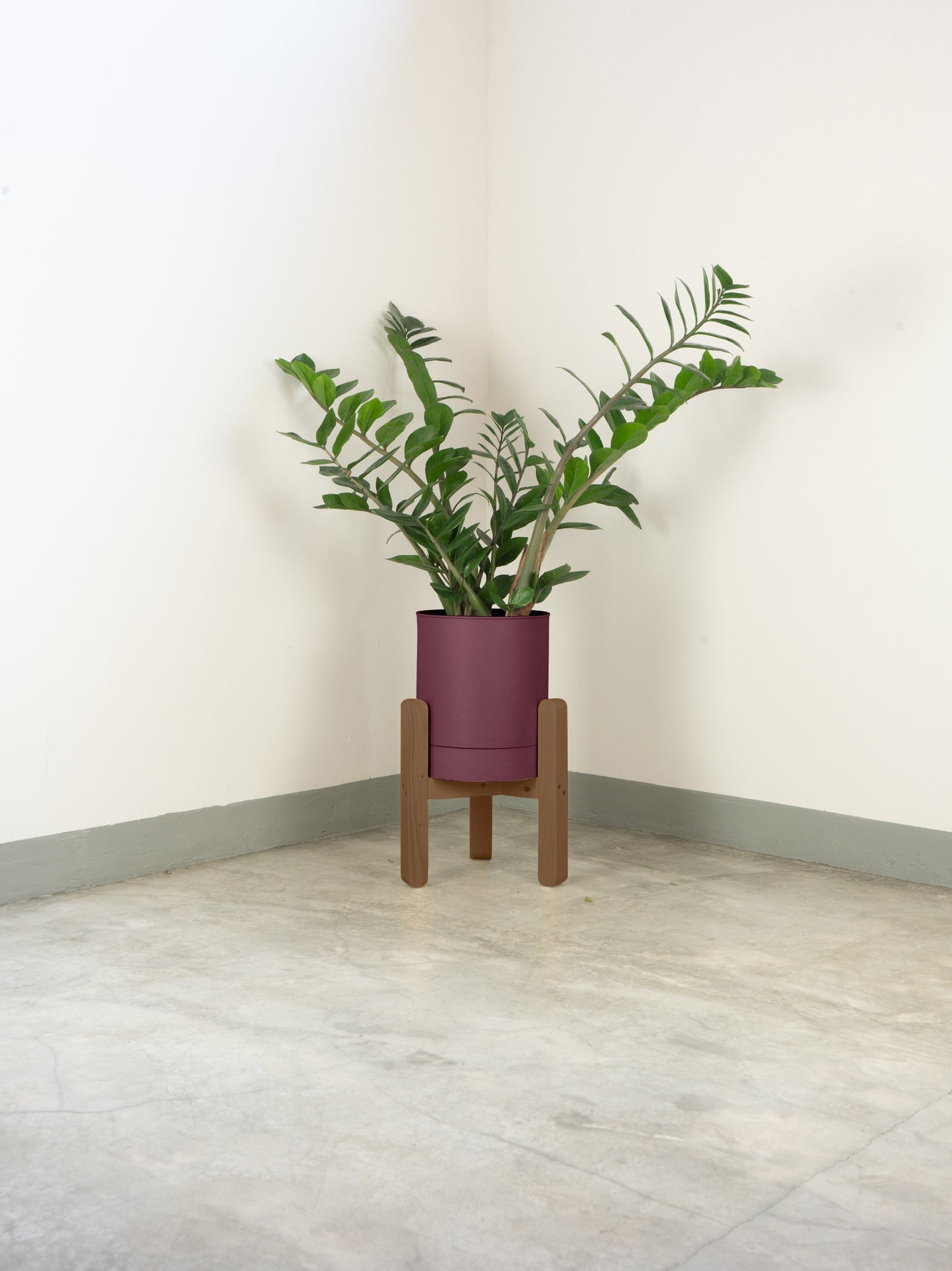 tamano=xs&color=morado&acabado-de-madera=cafe|e95e94c1de07d655c4133f92a0fde349