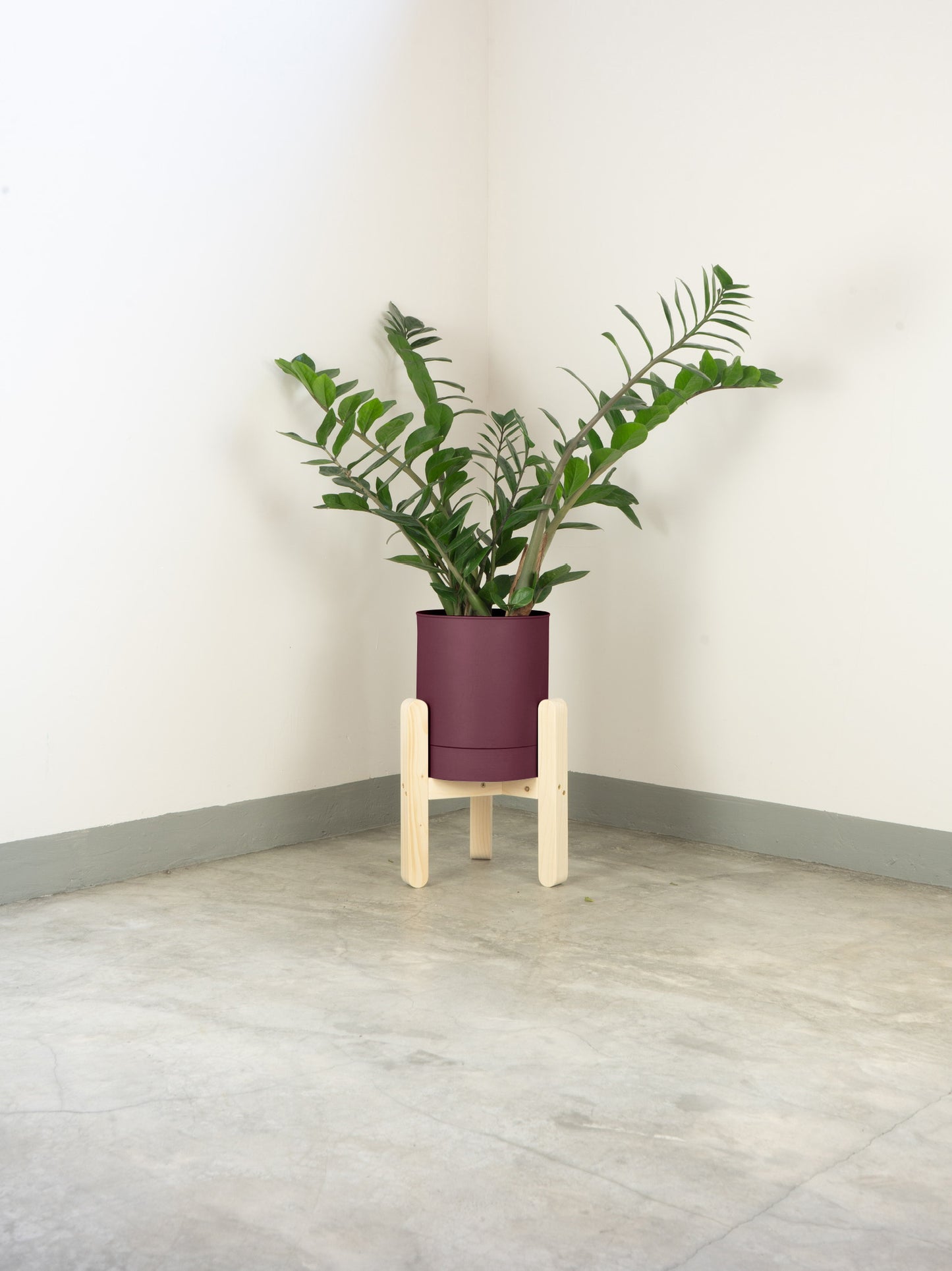 tamano=xs&color=morado&acabado-de-madera=natural|f04ec231ce8652d76e998681935ec56b