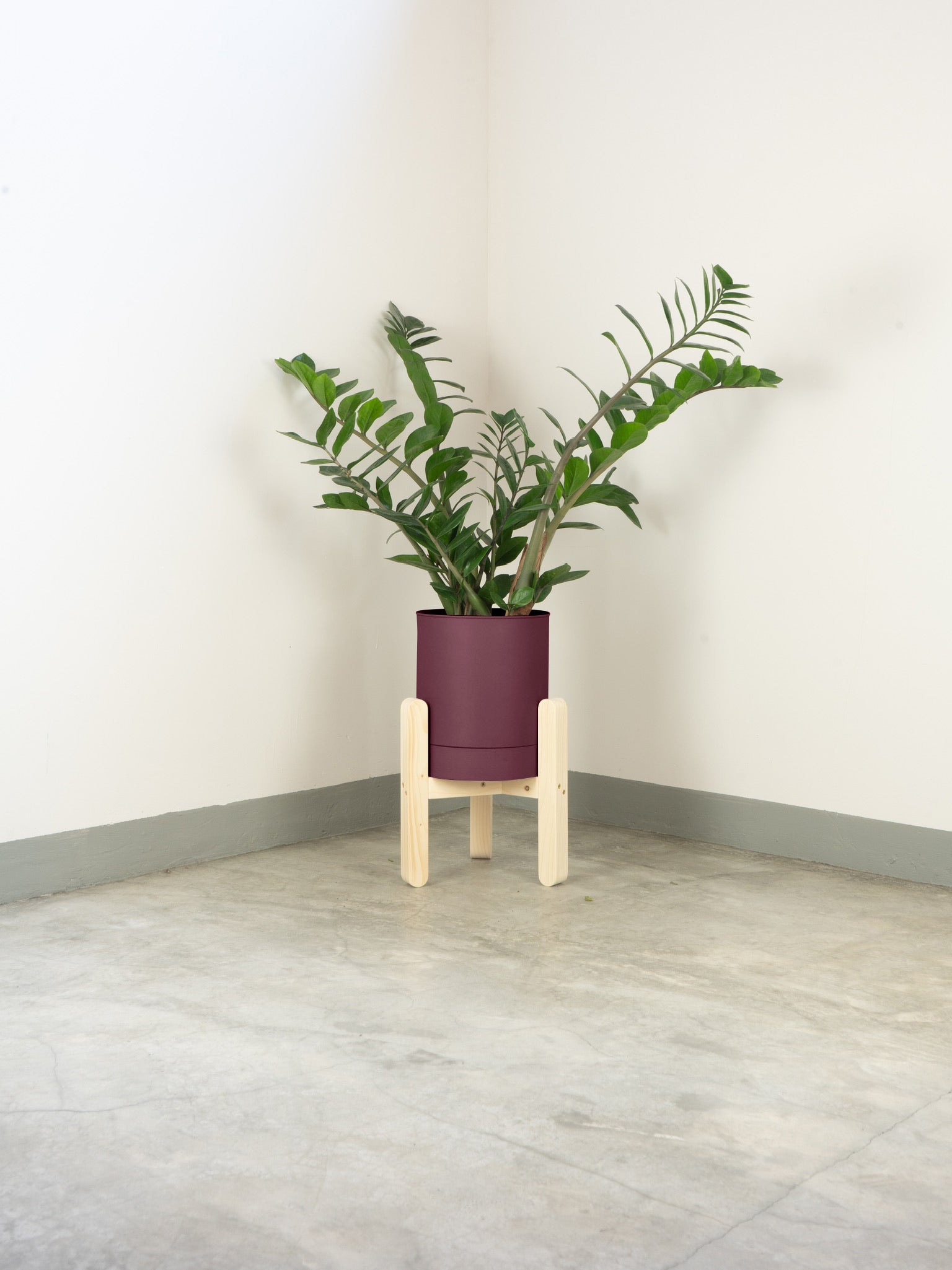 tamano=xs&color=morado&acabado-de-madera=natural|f04ec231ce8652d76e998681935ec56b