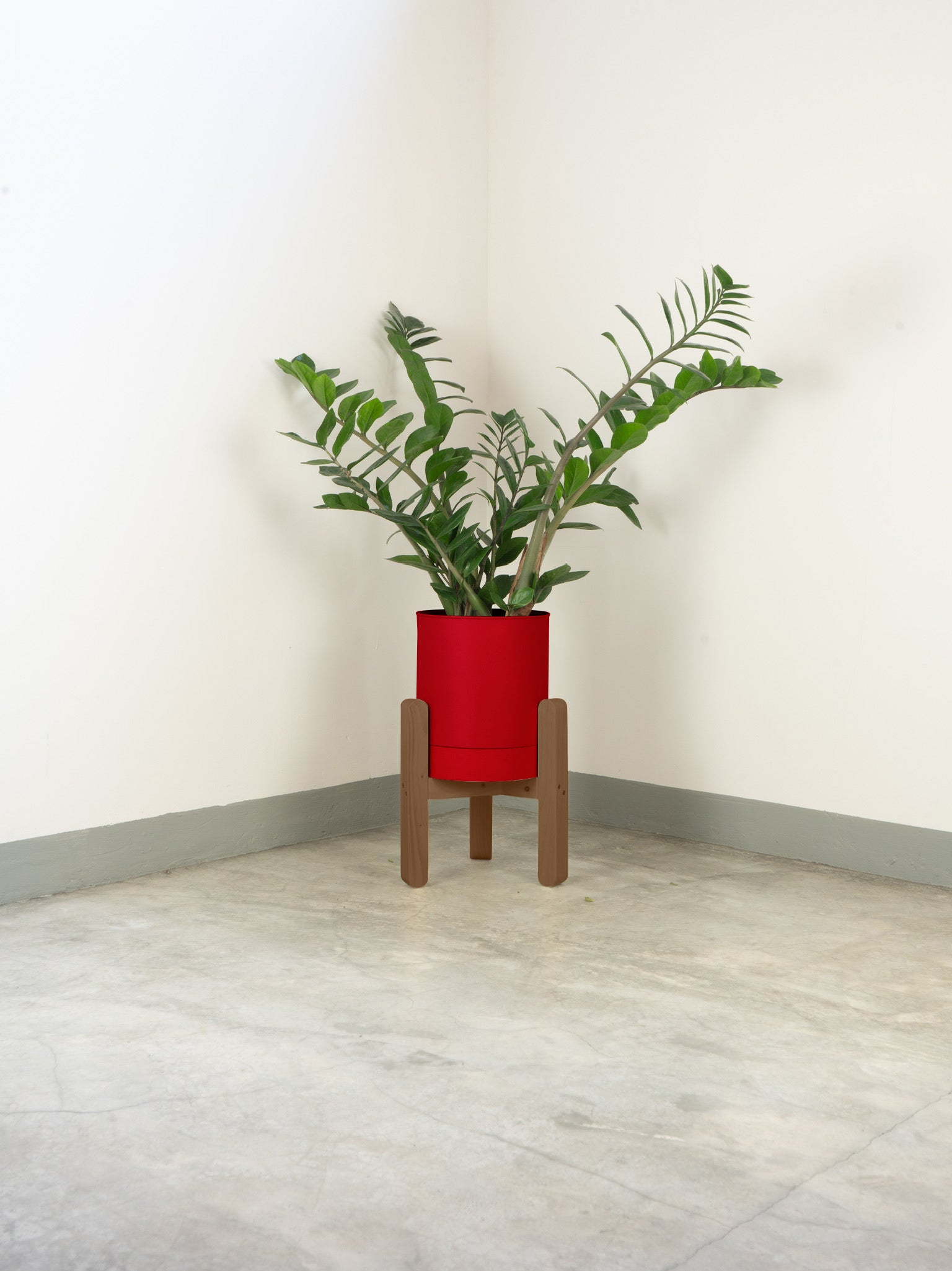 tamano=xs&color=rojo-claro&acabado-de-madera=cafe|254f57ebf7bf34292465cd3f15c9c121