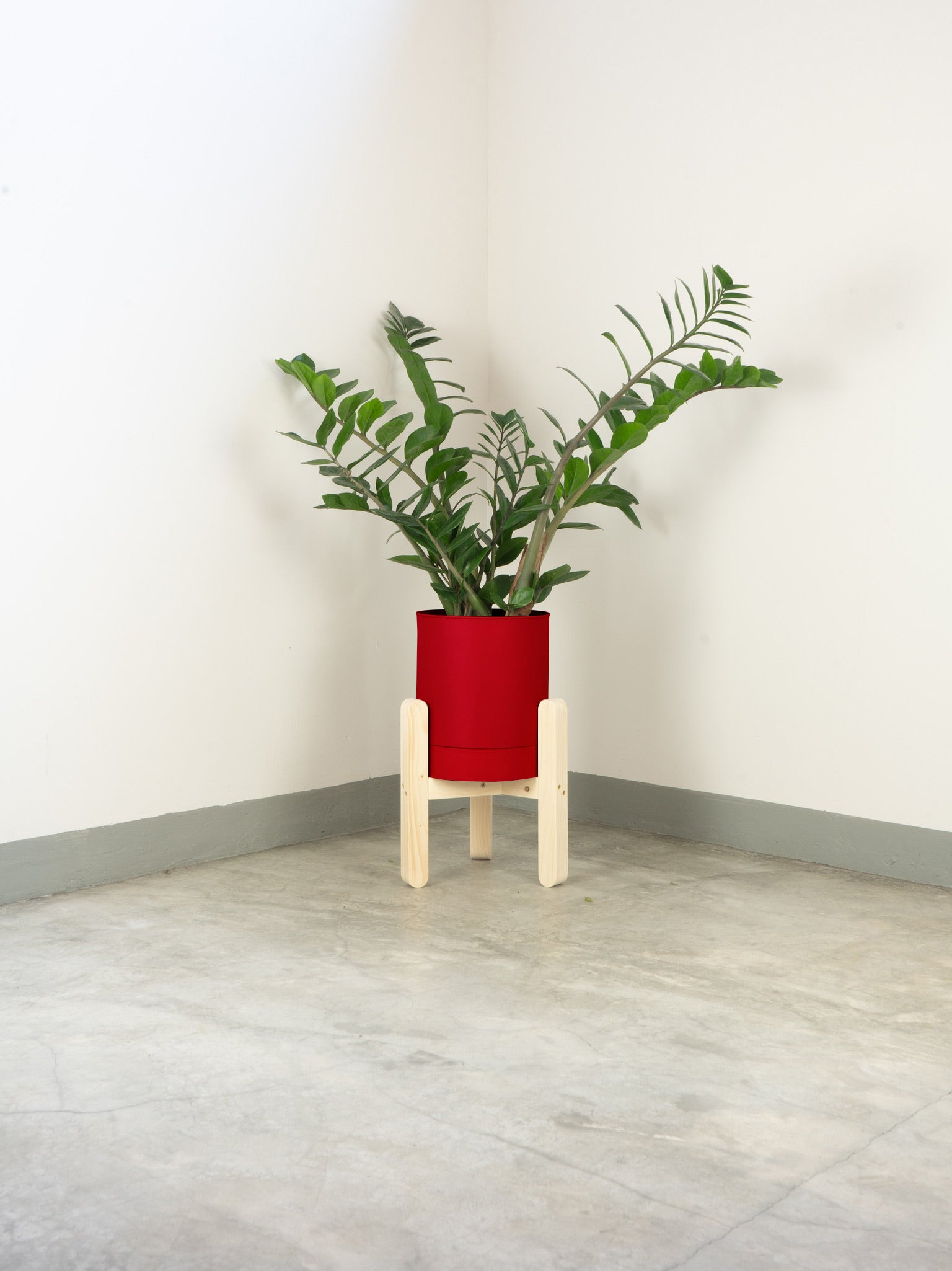 tamano=xs&color=rojo-claro&acabado-de-madera=natural|8ac169510df9adf4b0d53d835ed01cca