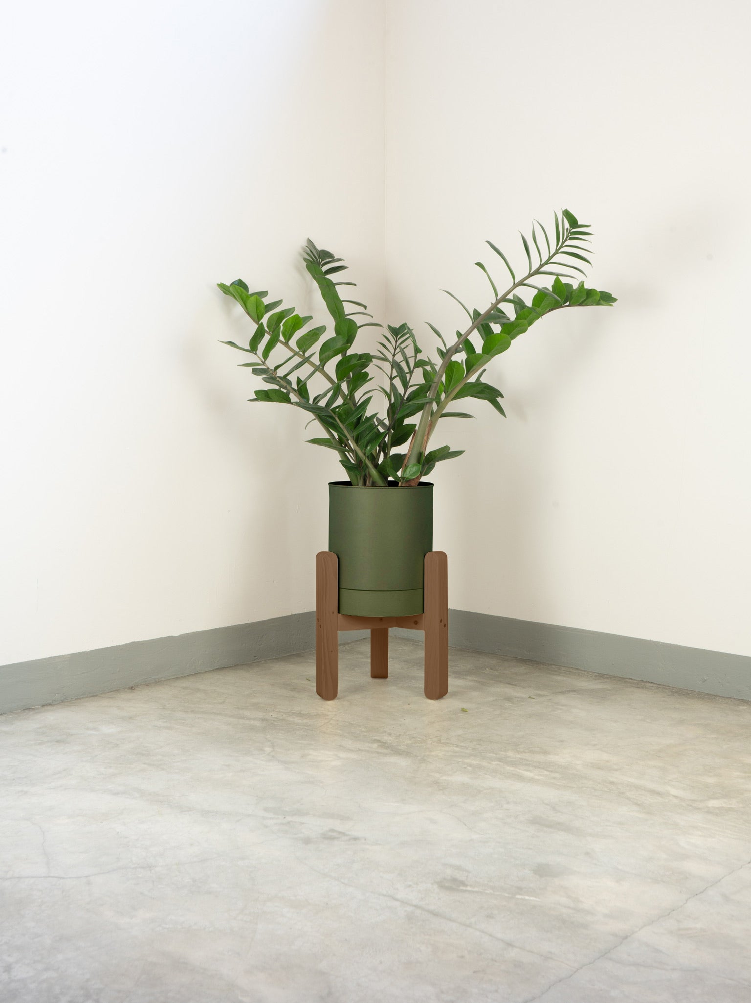 tamano=xs&color=verde-comarca&acabado-de-madera=cafe|fead7d53be1c803550676aa43460121c