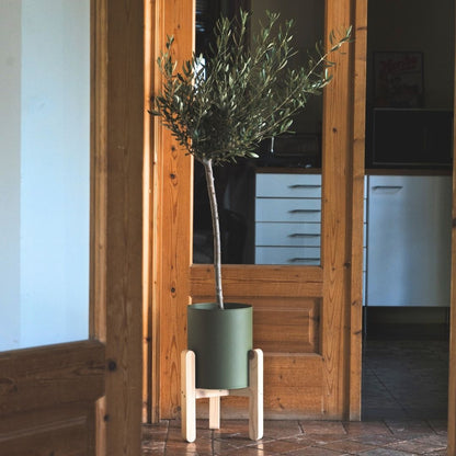 Tresino - Macetero de madera y lata de café reutilizada | Verde Bonsai